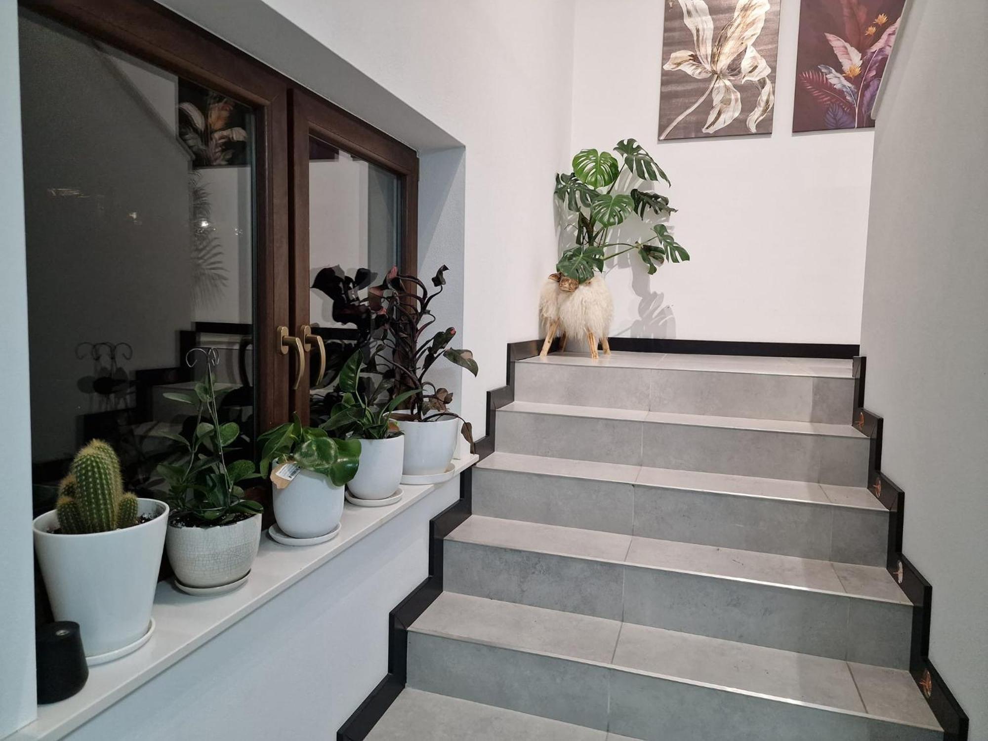 Male Ciche 36J Przy Ostrewkach, Widok Na Gory, Blisko Do Wyciagu Narciarskiego, Idealne Miejsce Na Wypad W Gory -Tarasowka-Zgorzelisko-Rusinowa Polana-Gesia Szyja-Palenica-Wiktorowki-Morskie Oko Murzasichle Eksteriør billede
